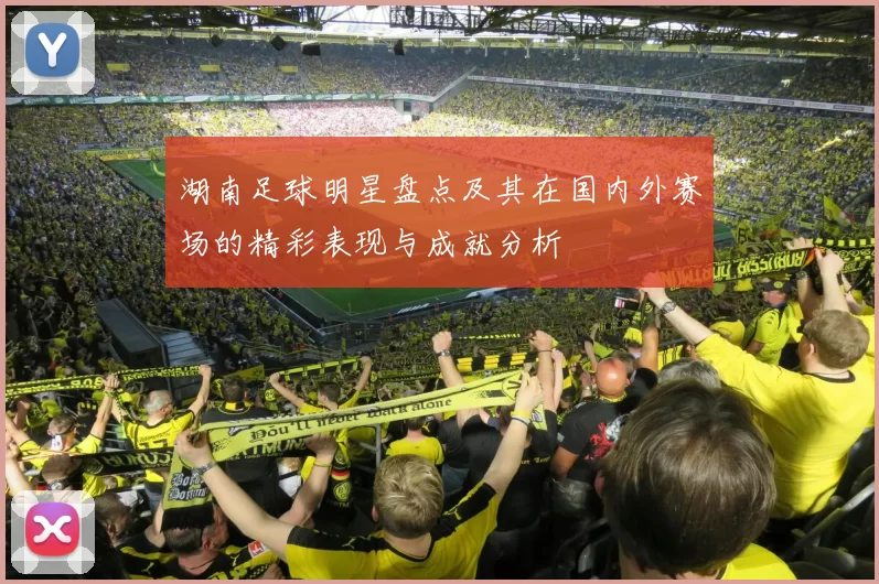 湖南足球明星盘点及其在国内外赛场的精彩表现与成就分析