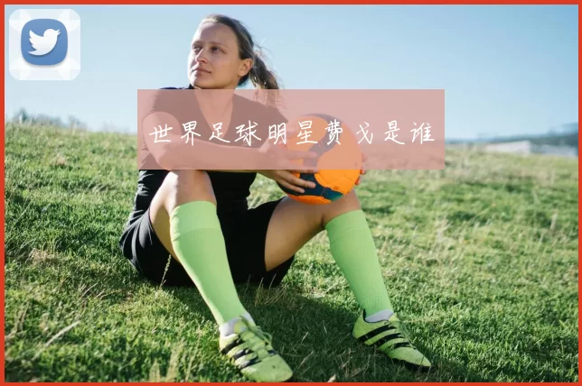 世界足球明星费戈是谁