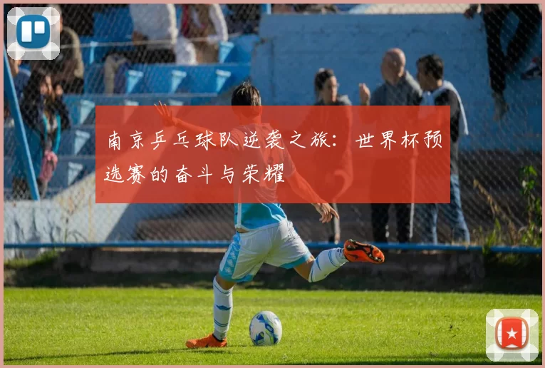 南京乒乓球队逆袭之旅：世界杯预选赛的奋斗与荣耀