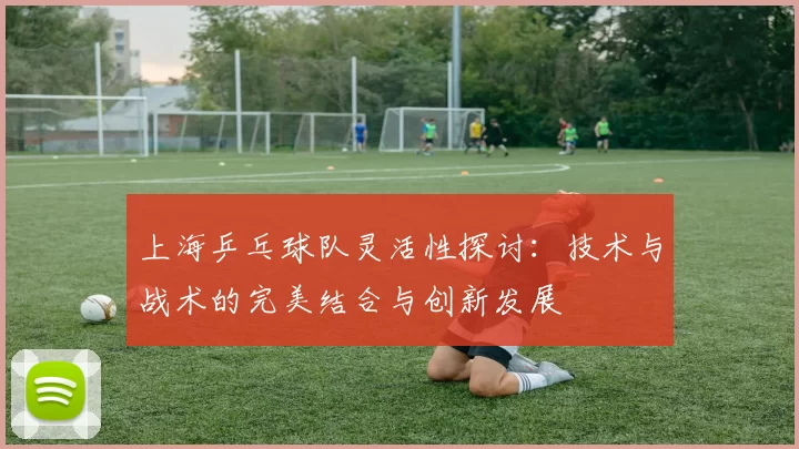 上海乒乓球队灵活性探讨：技术与战术的完美结合与创新发展