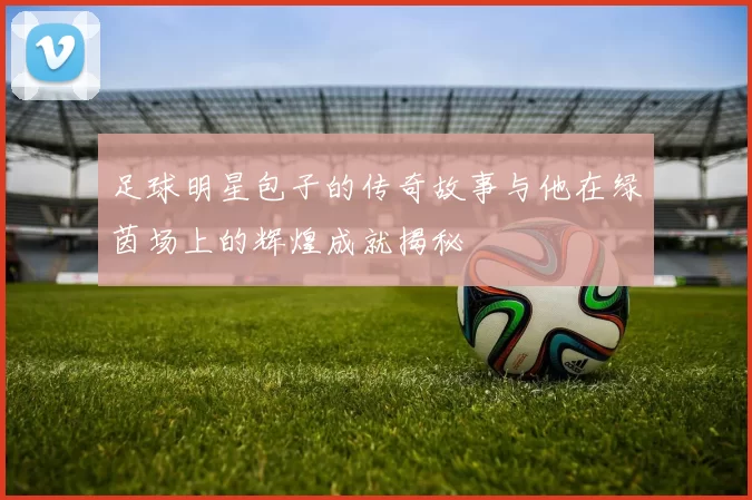 足球明星包子的传奇故事与他在绿茵场上的辉煌成就揭秘