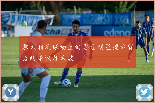 意大利足球场上的毒舌明星揭示背后的争议与风波