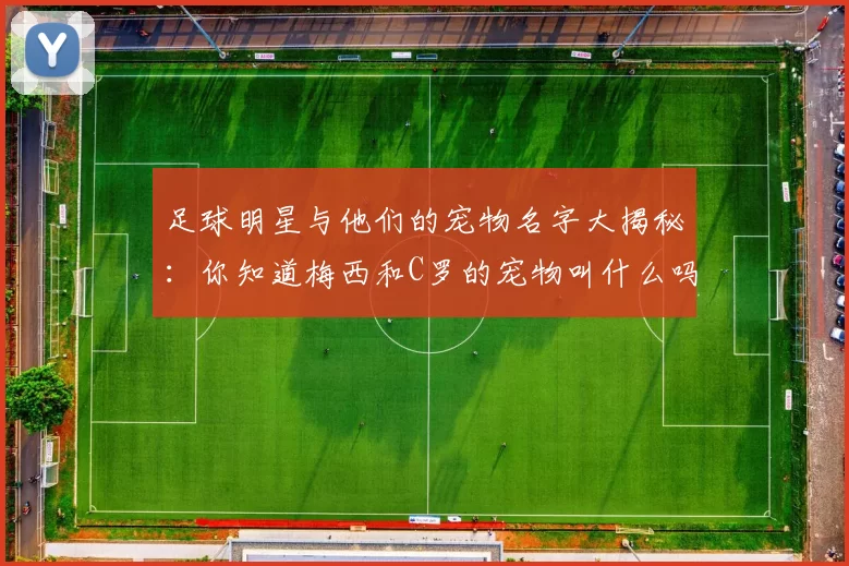 足球明星与他们的宠物名字大揭秘：你知道梅西和C罗的宠物叫什么吗