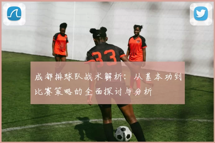 成都排球队战术解析：从基本功到比赛策略的全面探讨与分析