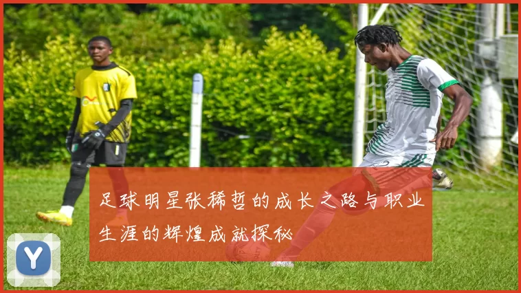 足球明星张稀哲的成长之路与职业生涯的辉煌成就探秘