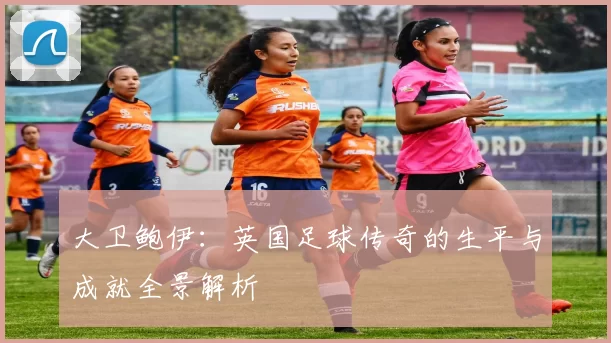 大卫鲍伊：英国足球传奇的生平与成就全景解析