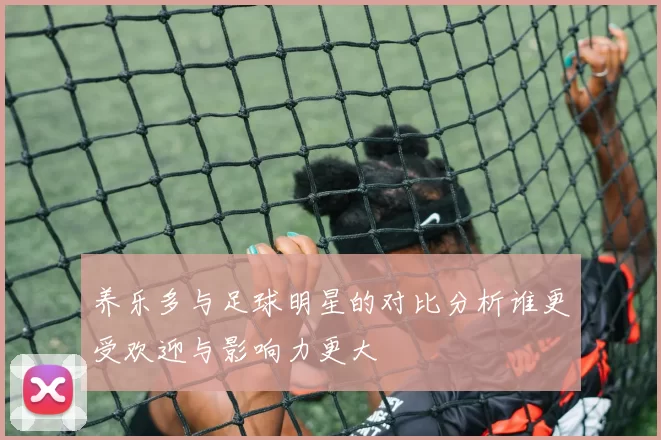 养乐多与足球明星的对比分析谁更受欢迎与影响力更大