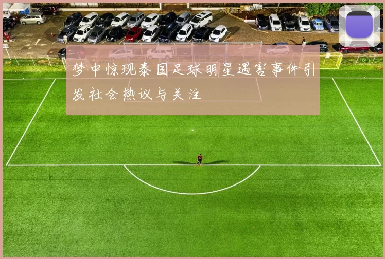 梦中惊现泰国足球明星遇害事件引发社会热议与关注