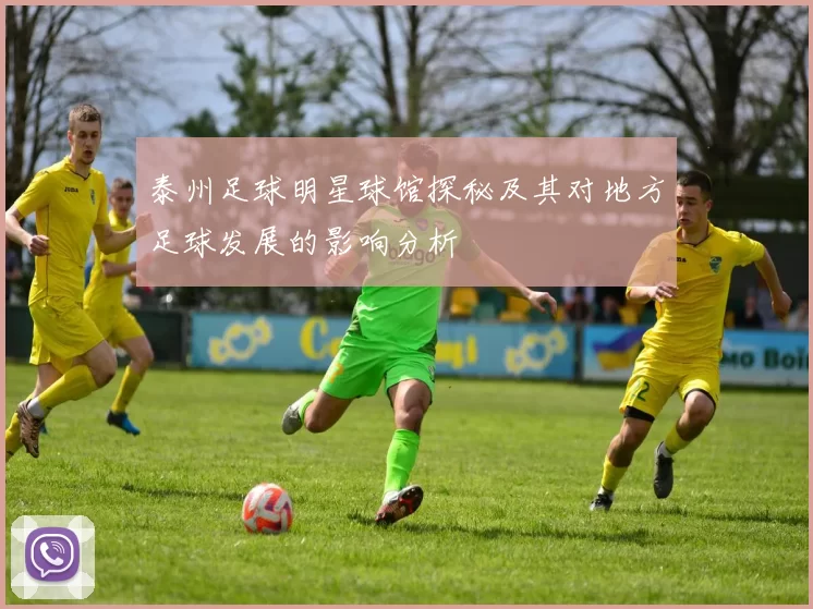 泰州足球明星球馆探秘及其对地方足球发展的影响分析