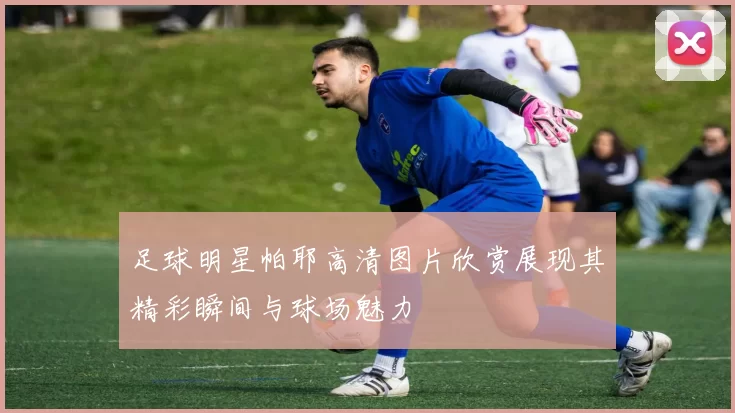 足球明星帕耶高清图片欣赏展现其精彩瞬间与球场魅力