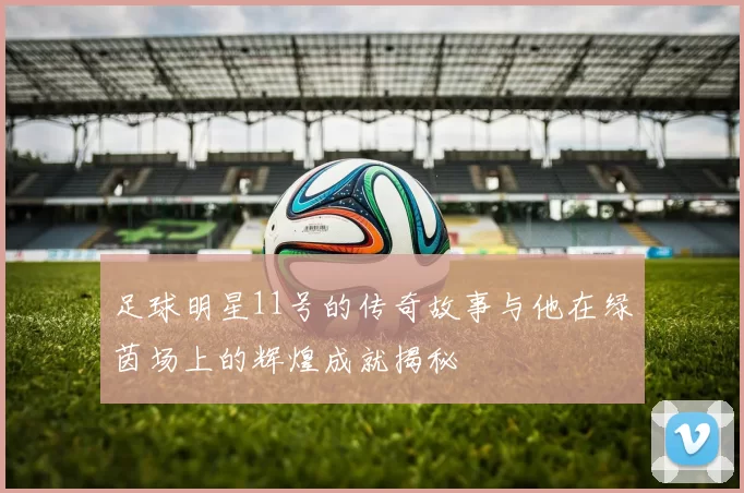 足球明星11号的传奇故事与他在绿茵场上的辉煌成就揭秘